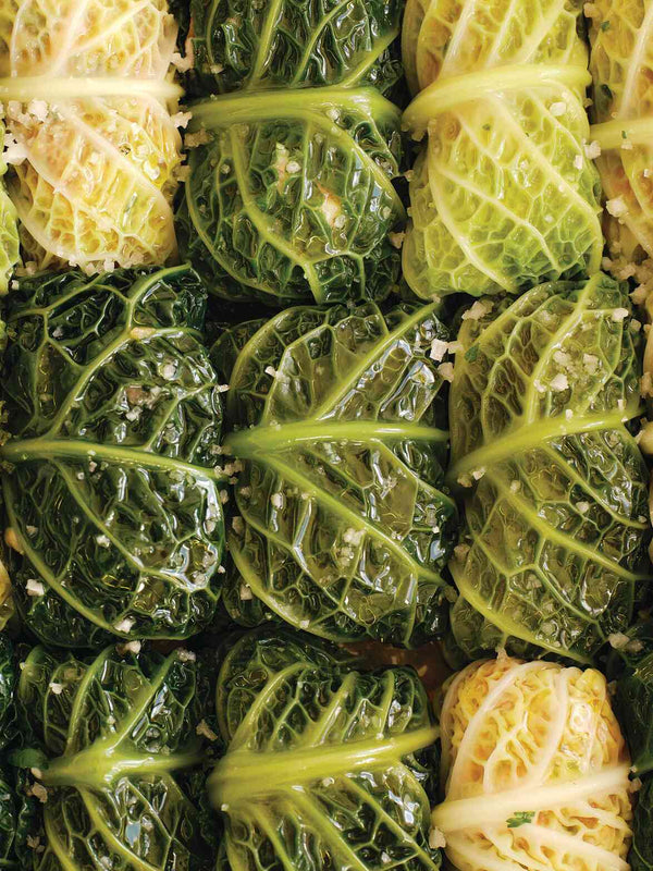Stuffed savoy cabbage rolls (choux farcis) arranged in a baking dish