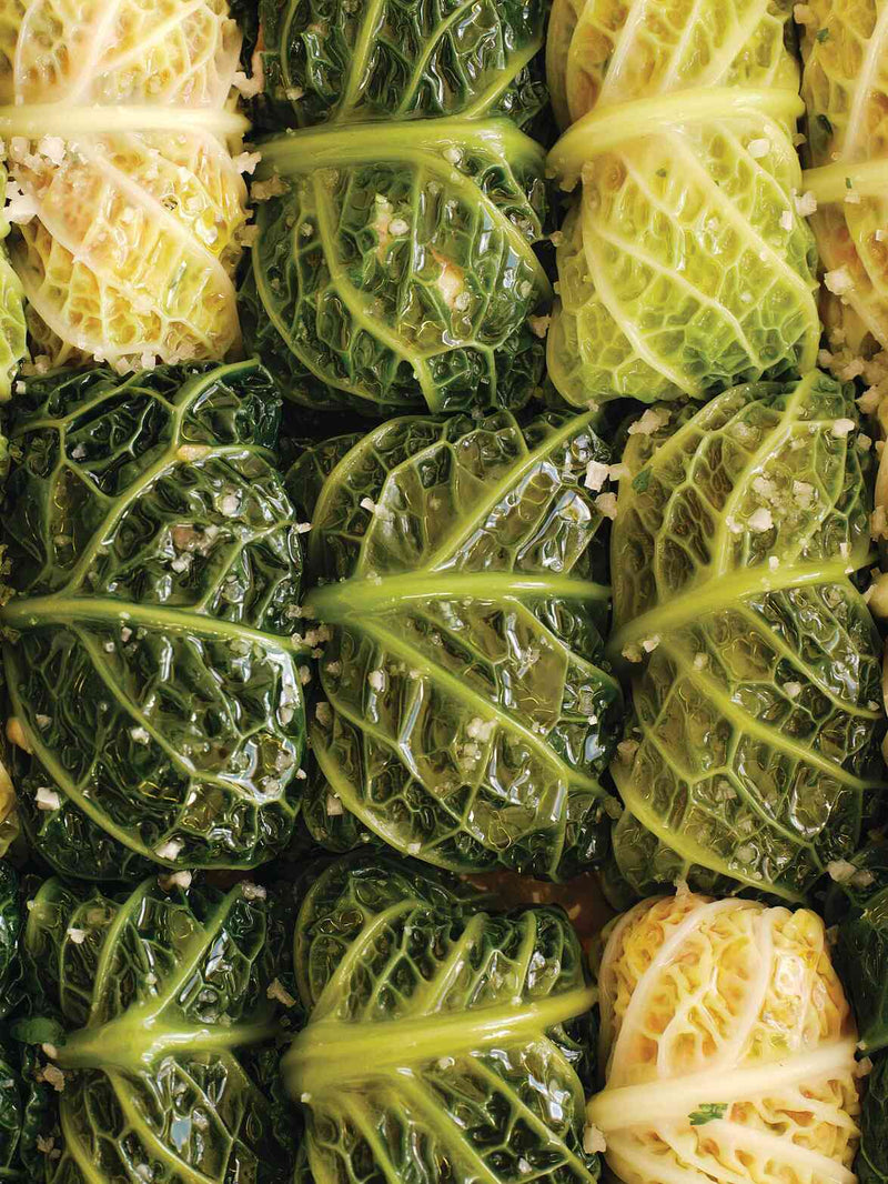 Stuffed savoy cabbage rolls (choux farcis) arranged in a baking dish
